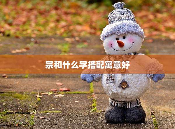 宗和什么字搭配寓意好