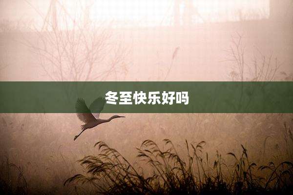 冬至快乐好吗
