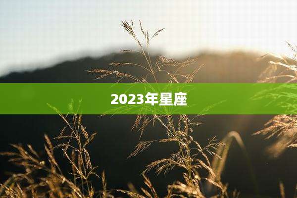 2023年星座