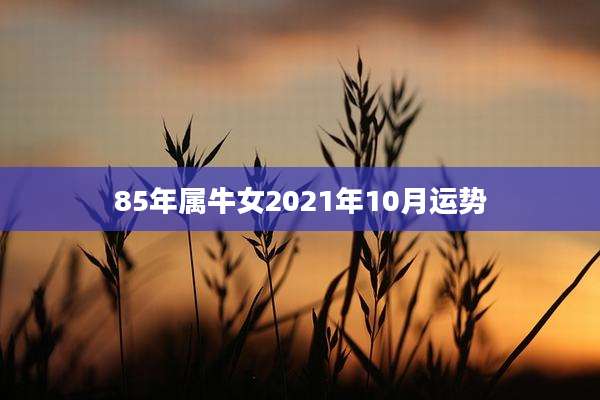 85年属牛女2021年10月运势