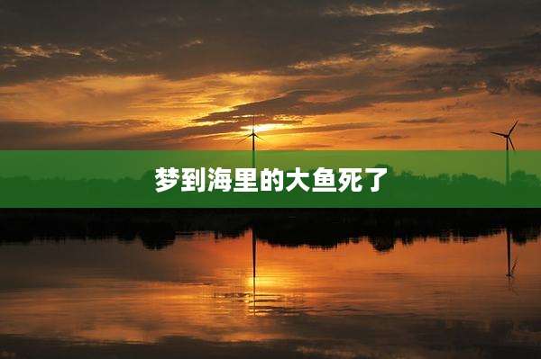 梦到海里的大鱼死了