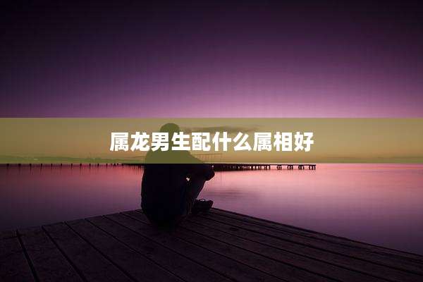 属龙男生配什么属相好