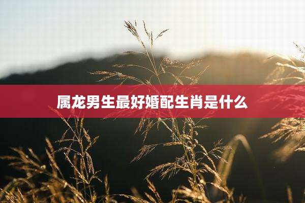 属龙男生最好婚配生肖是什么