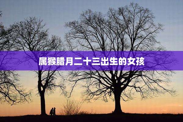 属猴腊月二十三出生的女孩