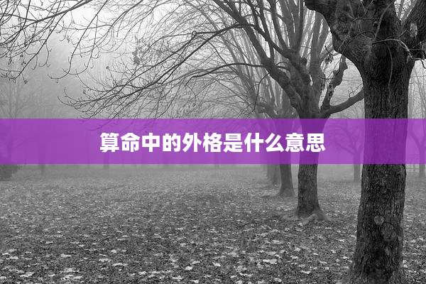 算命中的外格是什么意思