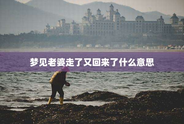 梦见老婆走了又回来了什么意思