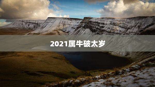 2021属牛破太岁