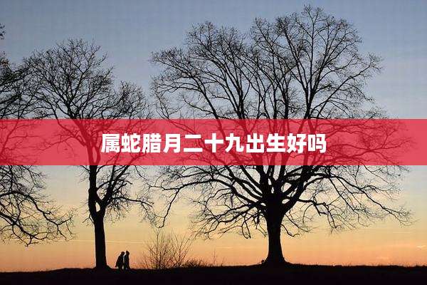 属蛇腊月二十九出生好吗