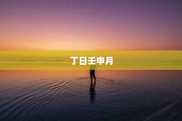 丁日壬申月