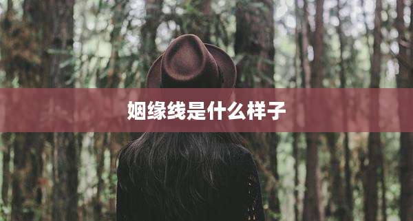 姻缘线是什么样子