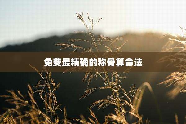 免费最精确的称骨算命法