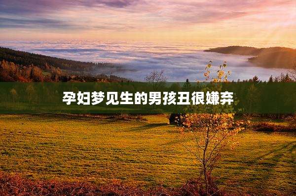 孕妇梦见生的男孩丑很嫌弃