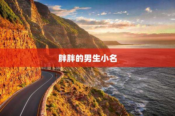 胖胖的男生小名