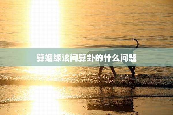 算姻缘该问算卦的什么问题