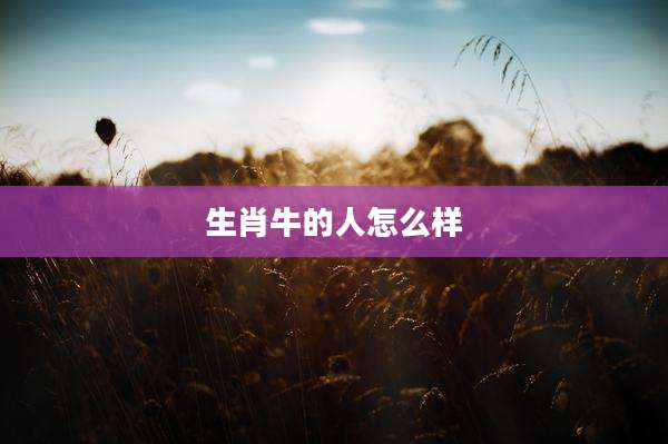 生肖牛的人怎么样