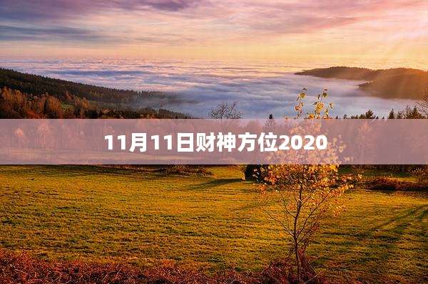 11月11日财神方位2020