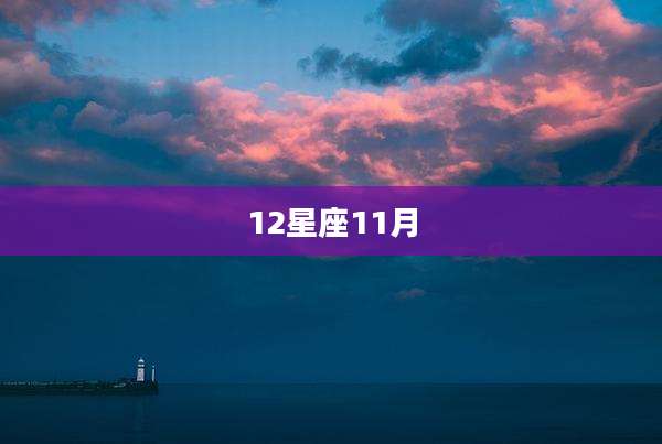 12星座11月