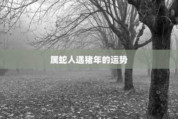 属蛇人遇猪年的运势