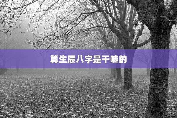 算生辰八字是干嘛的