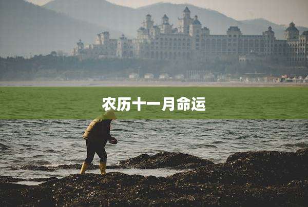 农历十一月命运