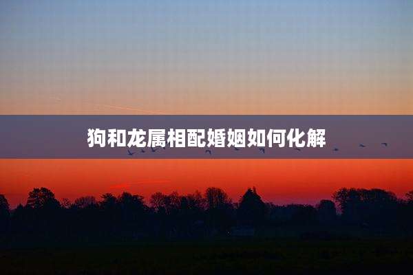狗和龙属相配婚姻如何化解