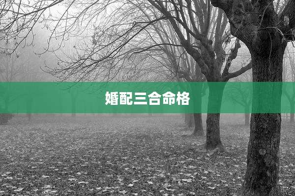 婚配三合命格