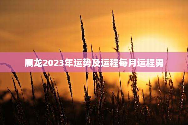 属龙2023年运势及运程每月运程男