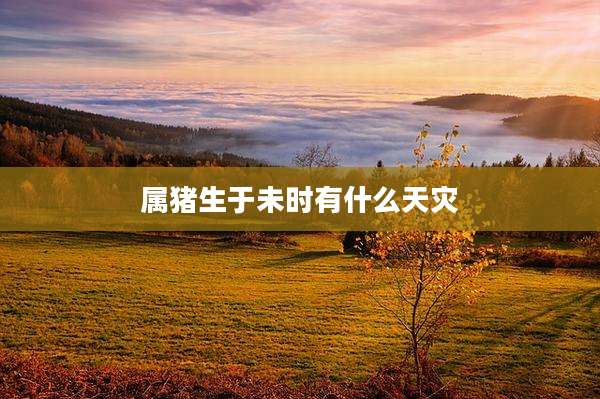 属猪生于未时有什么天灾