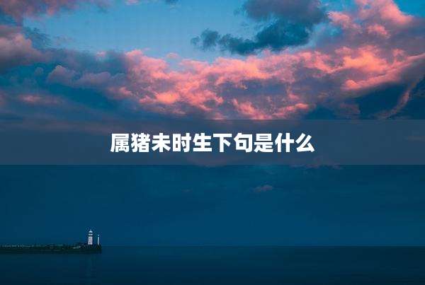 属猪未时生下句是什么