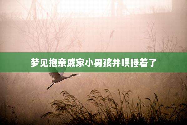 梦见抱亲戚家小男孩并哄睡着了