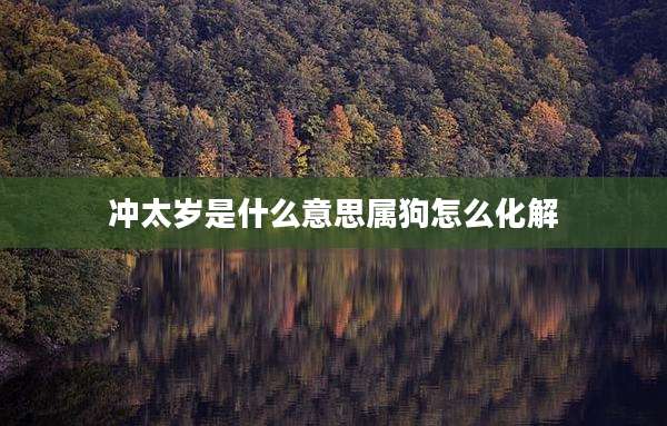 冲太岁是什么意思属狗怎么化解