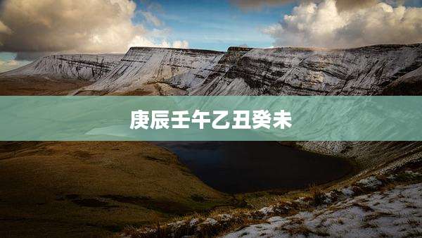 庚辰壬午乙丑癸未