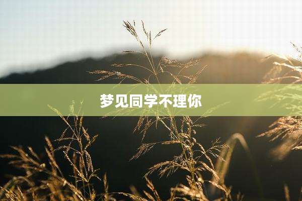 梦见同学不理你