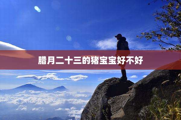 腊月二十三的猪宝宝好不好