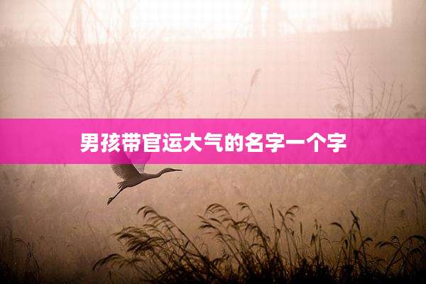 男孩带官运大气的名字一个字