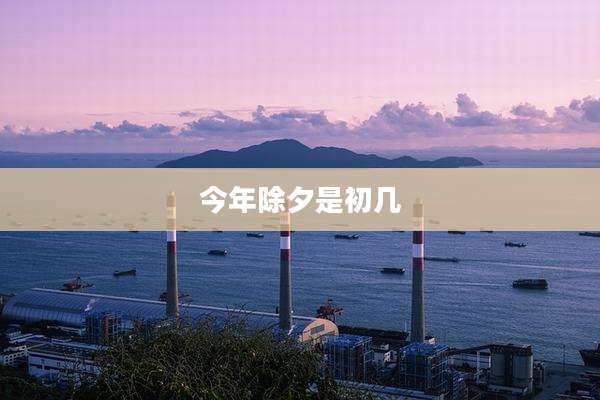 今年除夕是初几