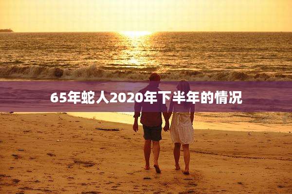 65年蛇人2020年下半年的情况