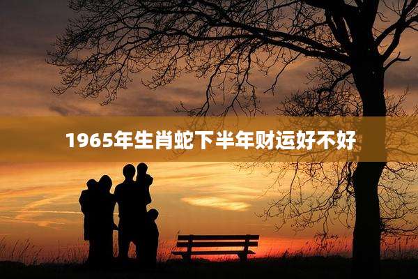 1965年生肖蛇下半年财运好不好