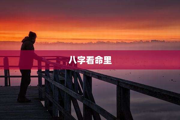 八字看命里