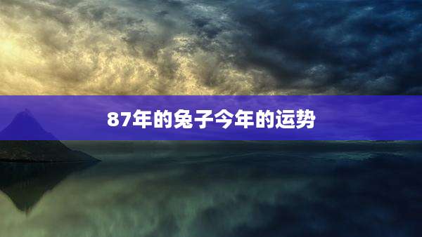 87年的兔子今年的运势