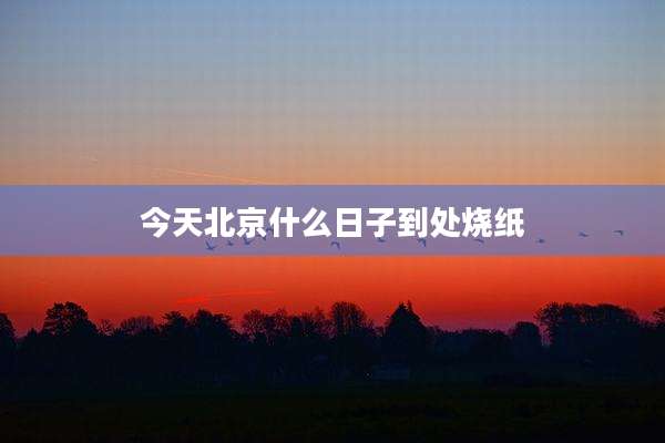 今天北京什么日子到处烧纸