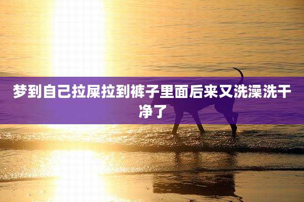 梦到自己拉屎拉到裤子里面后来又洗澡洗干净了