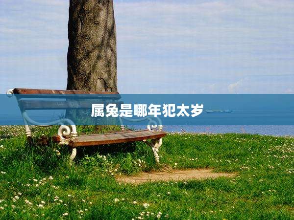 属兔是哪年犯太岁