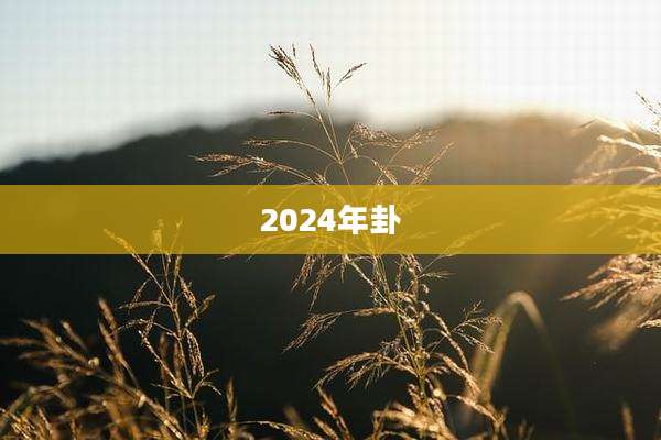 2024年卦