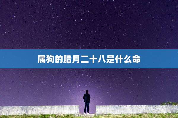 属狗的腊月二十八是什么命