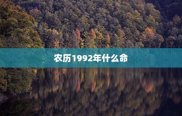 农历1992年什么命