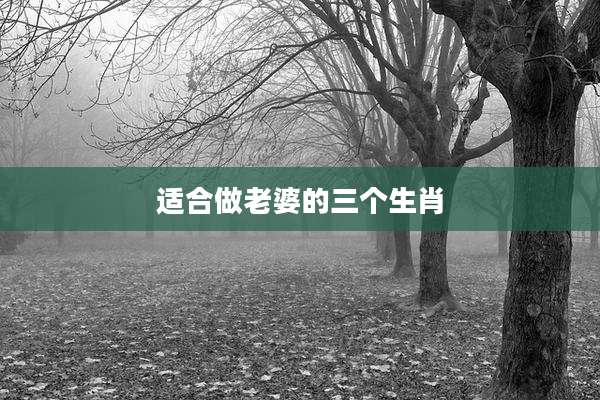 适合做老婆的三个生肖