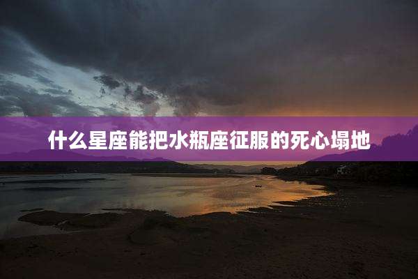 什么星座能把水瓶座征服的死心塌地