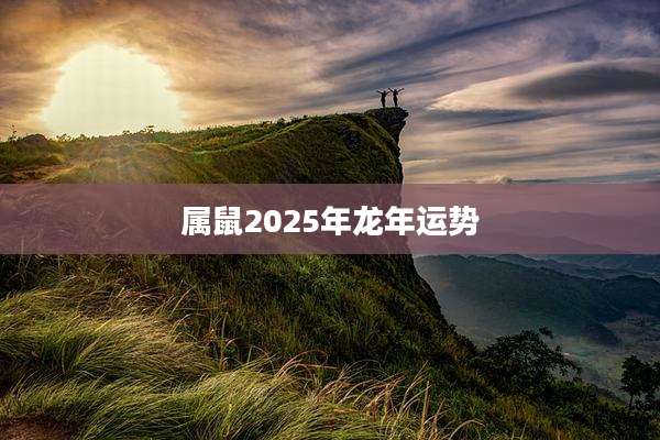 属鼠2025年龙年运势