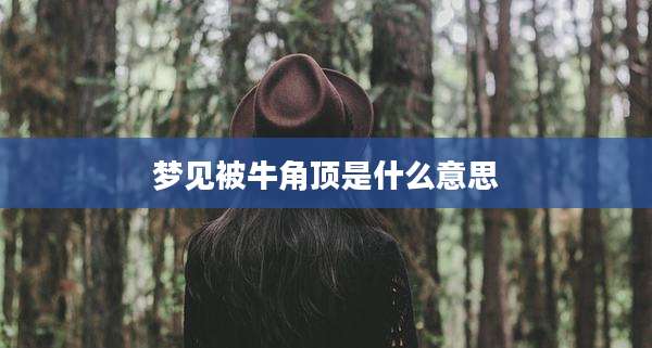 梦见被牛角顶是什么意思